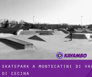 Skatepark a Montecatini di Val di Cecina