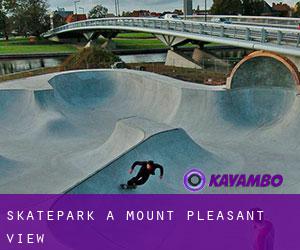 Skatepark a Mount Pleasant View