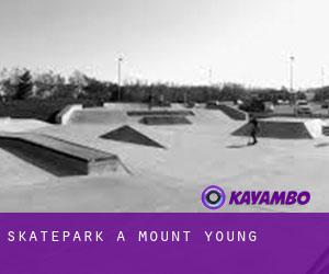 Skatepark a Mount Young