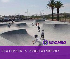 Skatepark a Mountainbrook