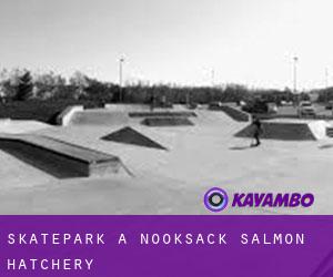 Skatepark a Nooksack Salmon Hatchery