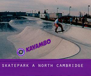 Skatepark a North Cambridge