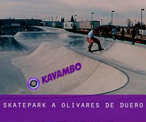 Skatepark a Olivares de Duero
