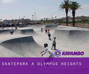 Skatepark a Olympus Heights