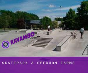 Skatepark a Opequon Farms