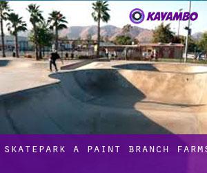 Skatepark a Paint Branch Farms