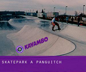 Skatepark a Panguitch