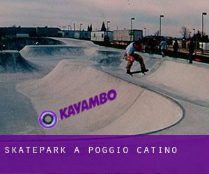 Skatepark a Poggio Catino