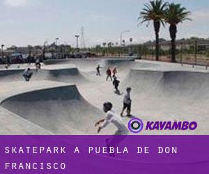 Skatepark a Puebla de Don Francisco