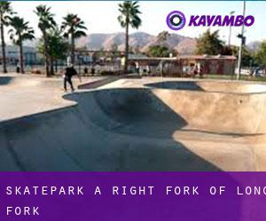 Skatepark a Right Fork of Long Fork