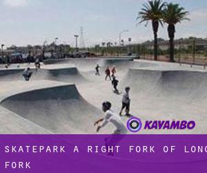 Skatepark a Right Fork of Long Fork