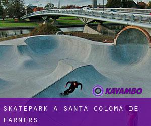 Skatepark a Santa Coloma de Farners