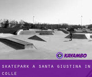 Skatepark a Santa Giustina in Colle