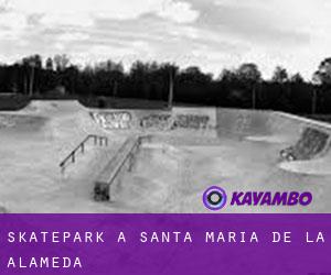 Skatepark a Santa María de la Alameda