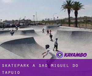 Skatepark a São Miguel do Tapuio