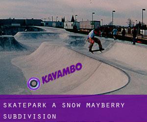 Skatepark a Snow Mayberry Subdivision