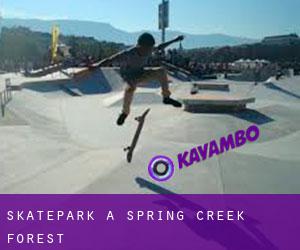 Skatepark a Spring Creek Forest