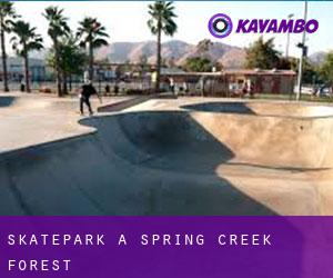 Skatepark a Spring Creek Forest