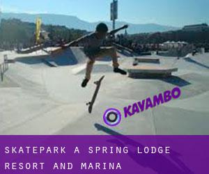 Skatepark a Spring Lodge Resort and Marina
