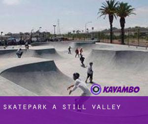 Skatepark a Still Valley