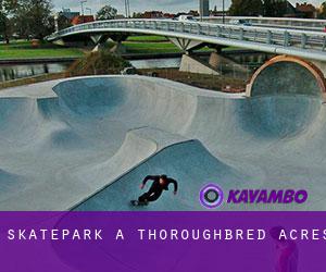 Skatepark a Thoroughbred Acres