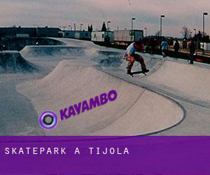 Skatepark a Tíjola