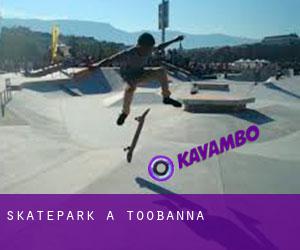 Skatepark a Toobanna