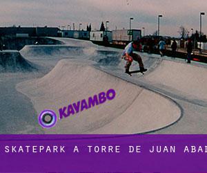 Skatepark a Torre de Juan Abad