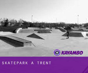 Skatepark a Trent