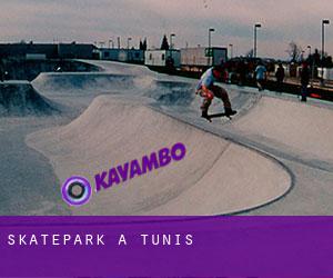 Skatepark a Tunis