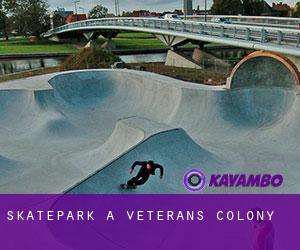 Skatepark a Veterans Colony