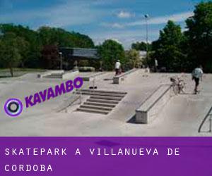 Skatepark a Villanueva de Córdoba