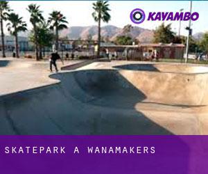 Skatepark a Wanamakers