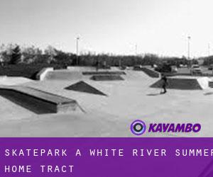 Skatepark a White River Summer Home Tract