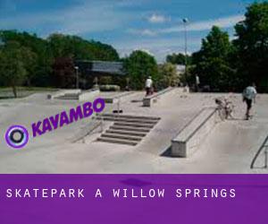 Skatepark a Willow Springs