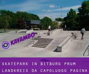 Skatepark in Bitburg-Prüm Landkreis da capoluogo - pagina 1