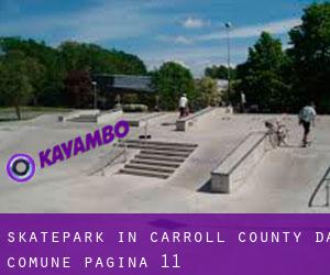Skatepark in Carroll County da comune - pagina 11