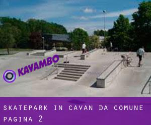 Skatepark in Cavan da comune - pagina 2