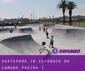 Skatepark in Cessnock da comune - pagina 1