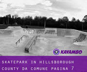 Skatepark in Hillsborough County da comune - pagina 7