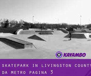 Skatepark in Livingston County da metro - pagina 3