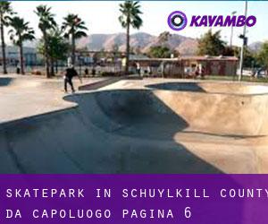 Skatepark in Schuylkill County da capoluogo - pagina 6
