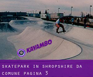 Skatepark in Shropshire da comune - pagina 3
