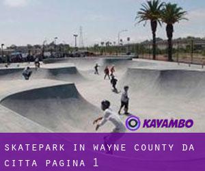 Skatepark in Wayne County da città - pagina 1