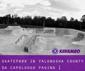 Skatepark in Yalobusha County da capoluogo - pagina 1