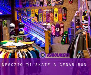 Negozio di skate a Cedar Run