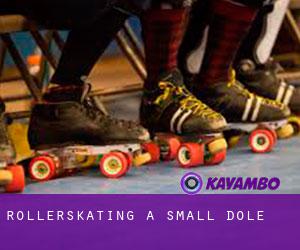 Rollerskating a Small Dole