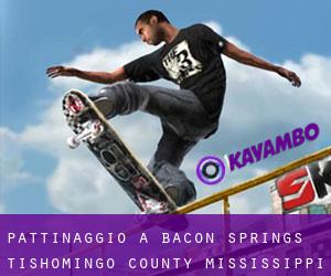 pattinaggio a Bacon Springs (Tishomingo County, Mississippi)