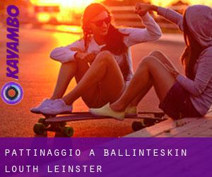 pattinaggio a Ballinteskin (Louth, Leinster)