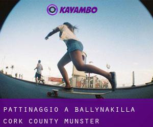 pattinaggio a Ballynakilla (Cork County, Munster)